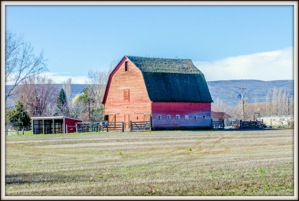 DSC_2477.jpg