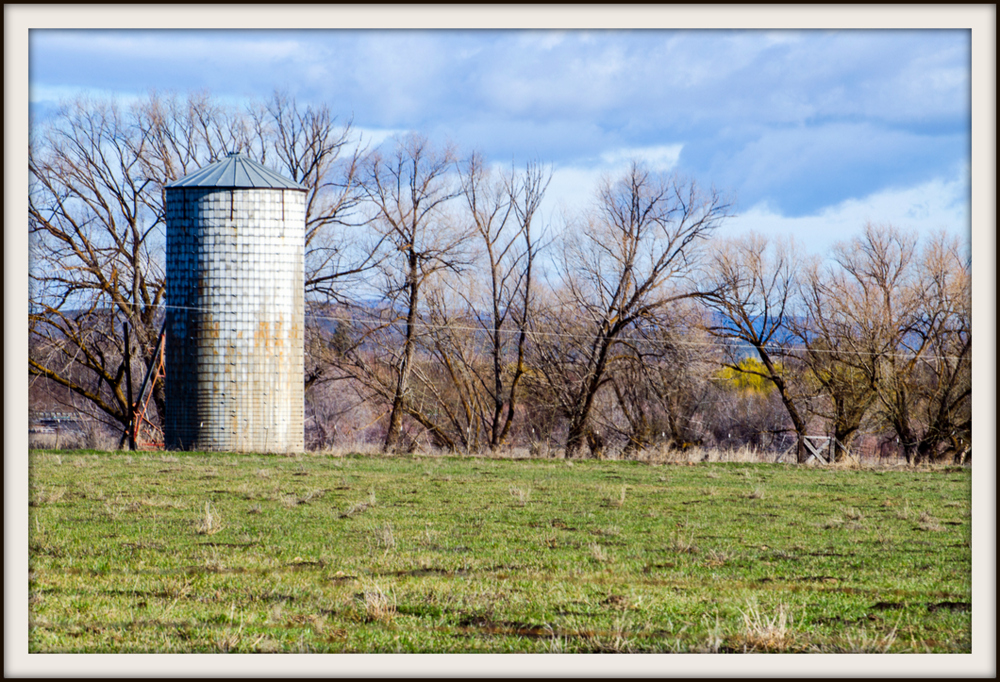 DSC_2482.jpg