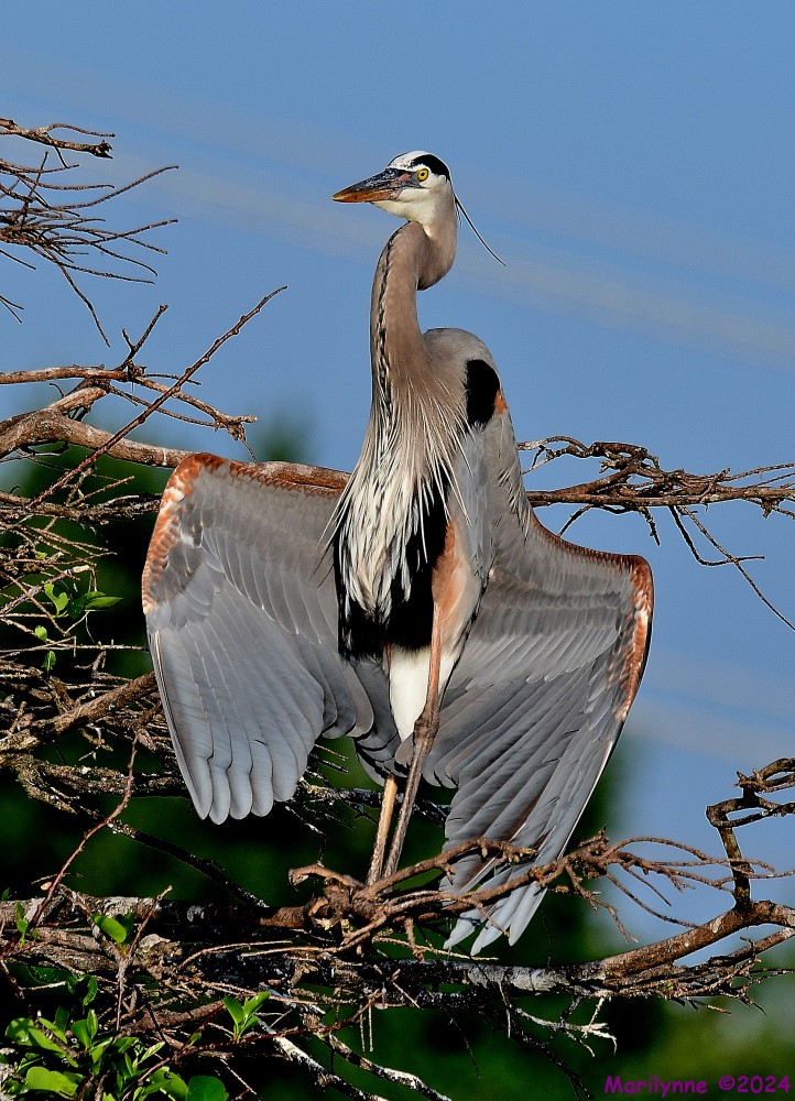 DSC_2483_001.JPG