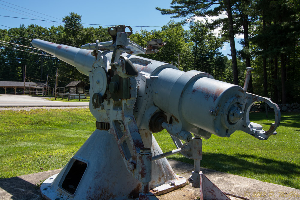 DSC_2484.jpg