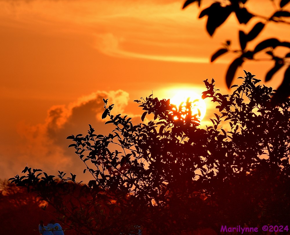 DSC_2492_001.JPG