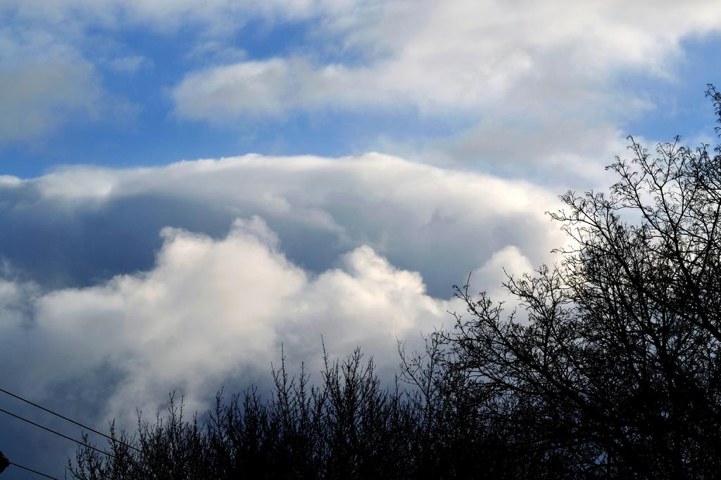 DSC_2496.jpg