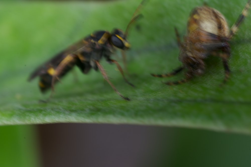 DSC_2499.jpg