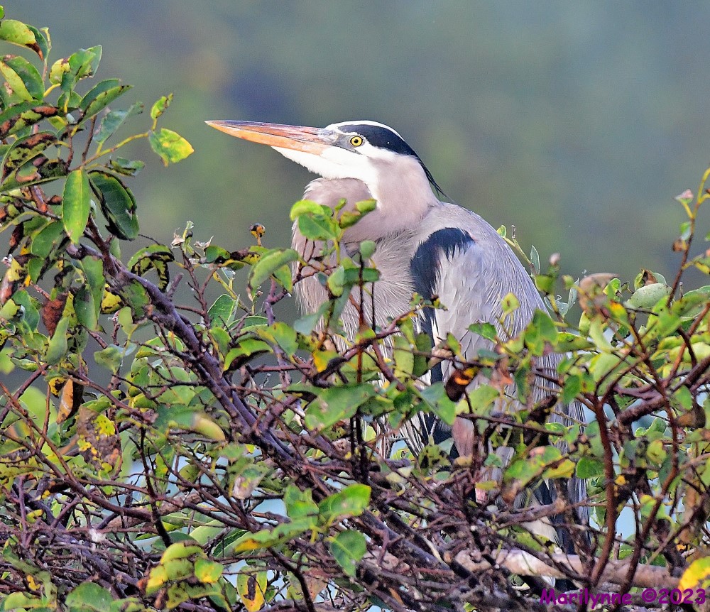 DSC_2500_001.JPG