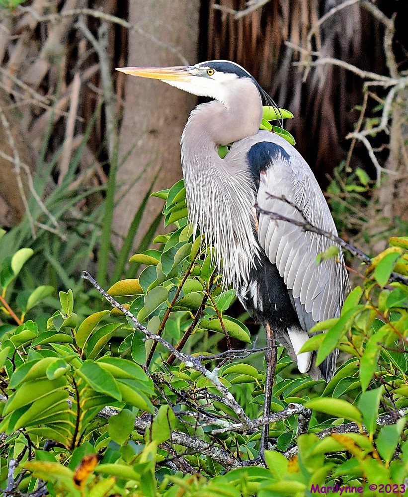 DSC_2504_001.JPG