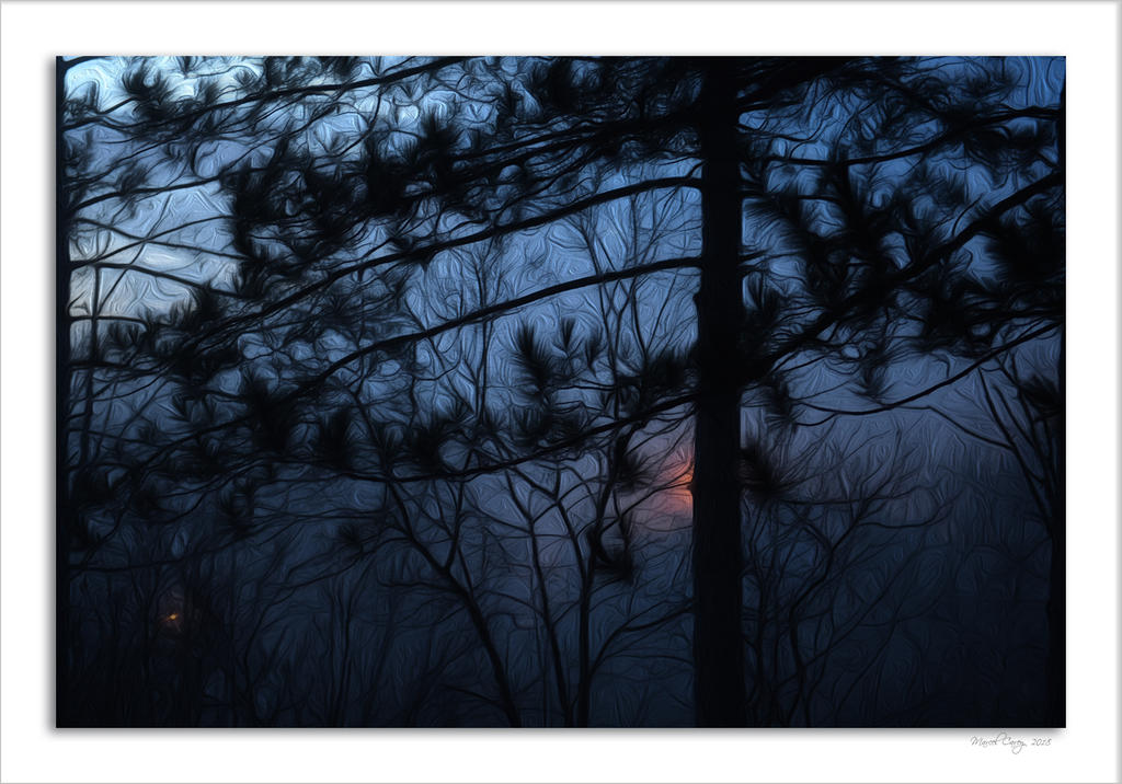 DSC_2505.jpg