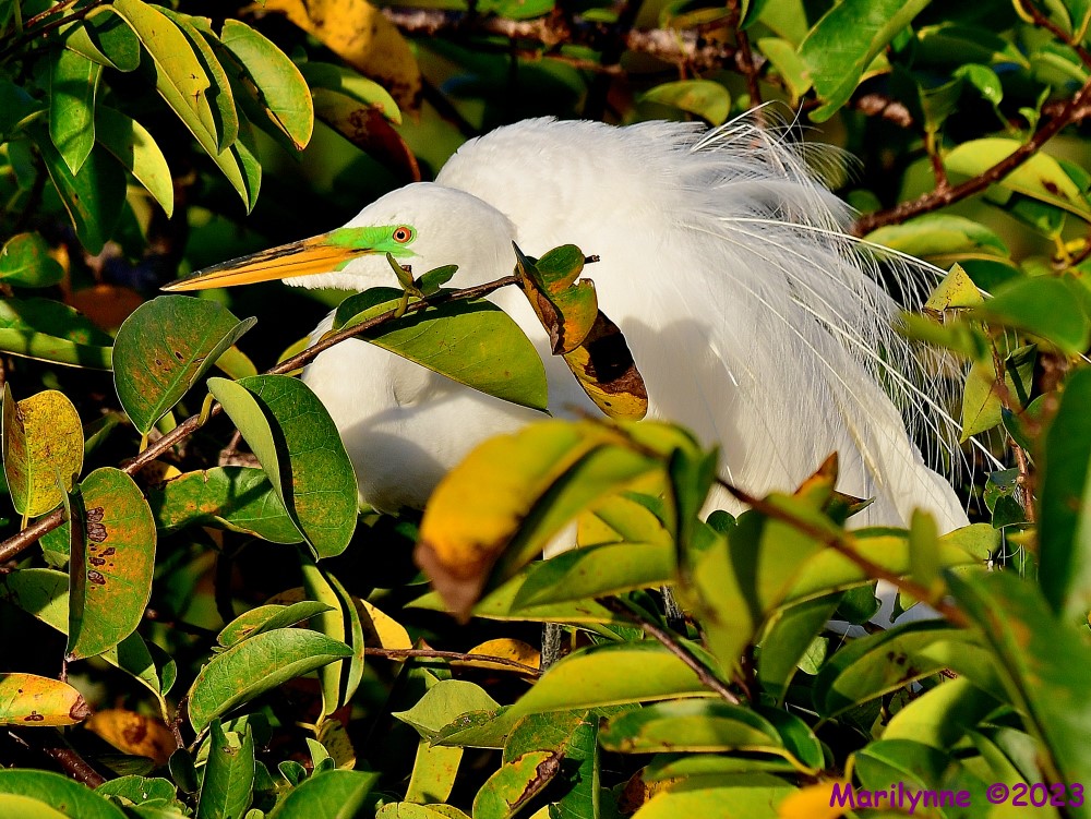 DSC_2507_001.JPG