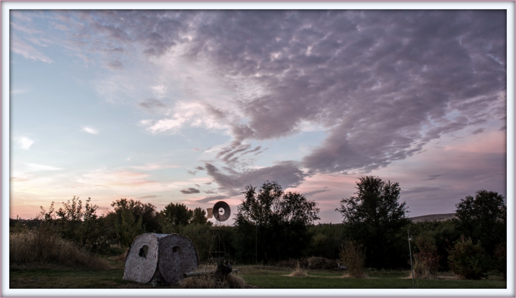 DSC_2514.jpg
