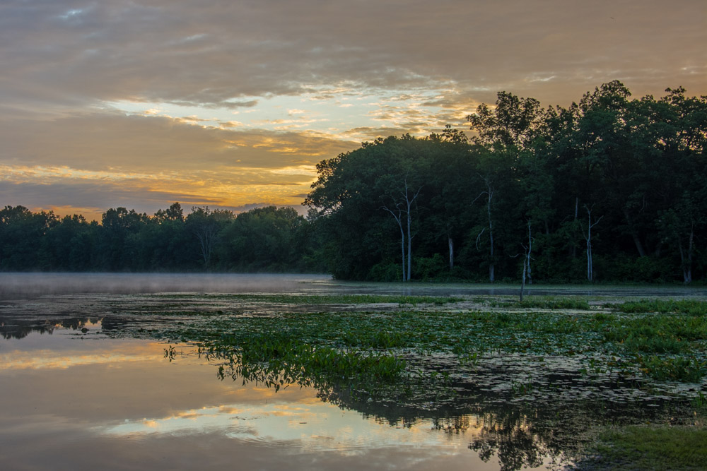 DSC_2514.jpg