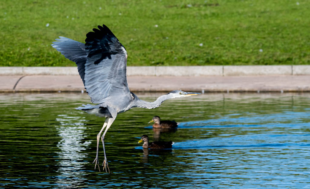 DSC_2522.jpg