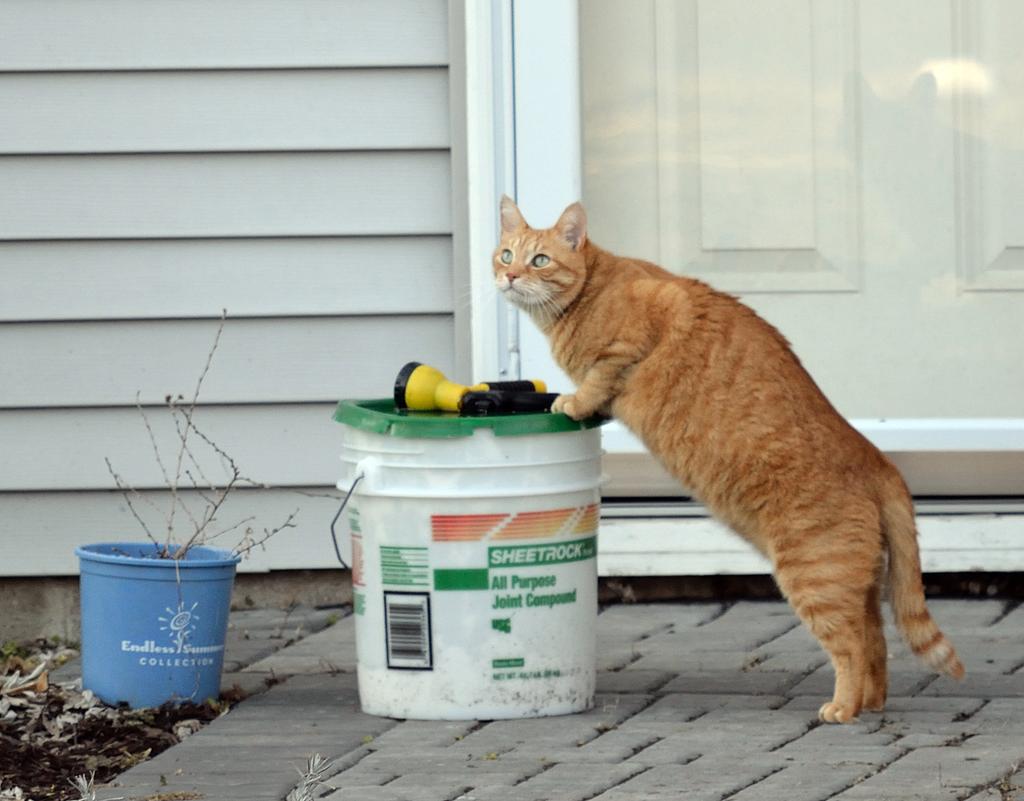 DSC_2525.jpg