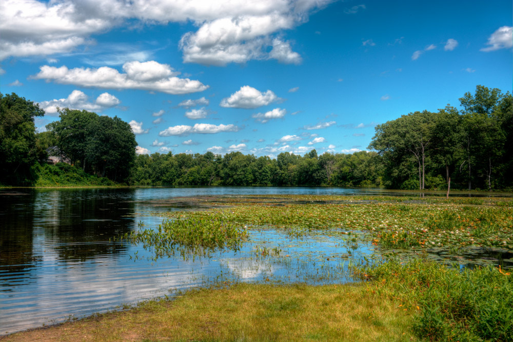 DSC_2525_6_7_8_9_tonemapped.jpg