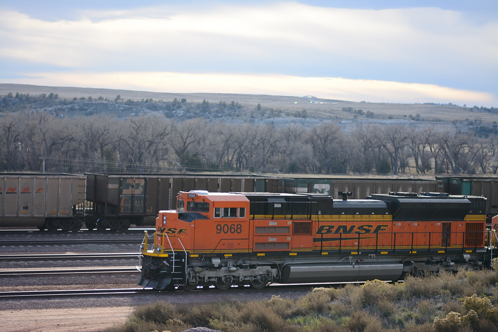 DSC_2526.JPG