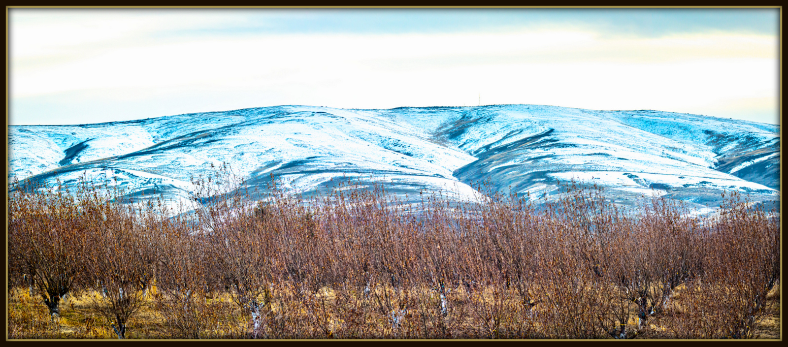 DSC_2526-Pano-001.JPG
