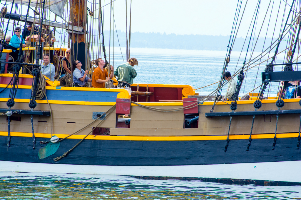 DSC_2533 - Copy.jpg