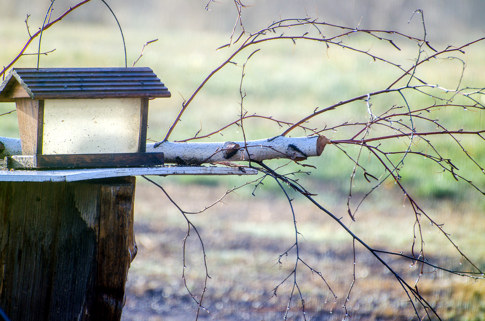 DSC_2538.jpg