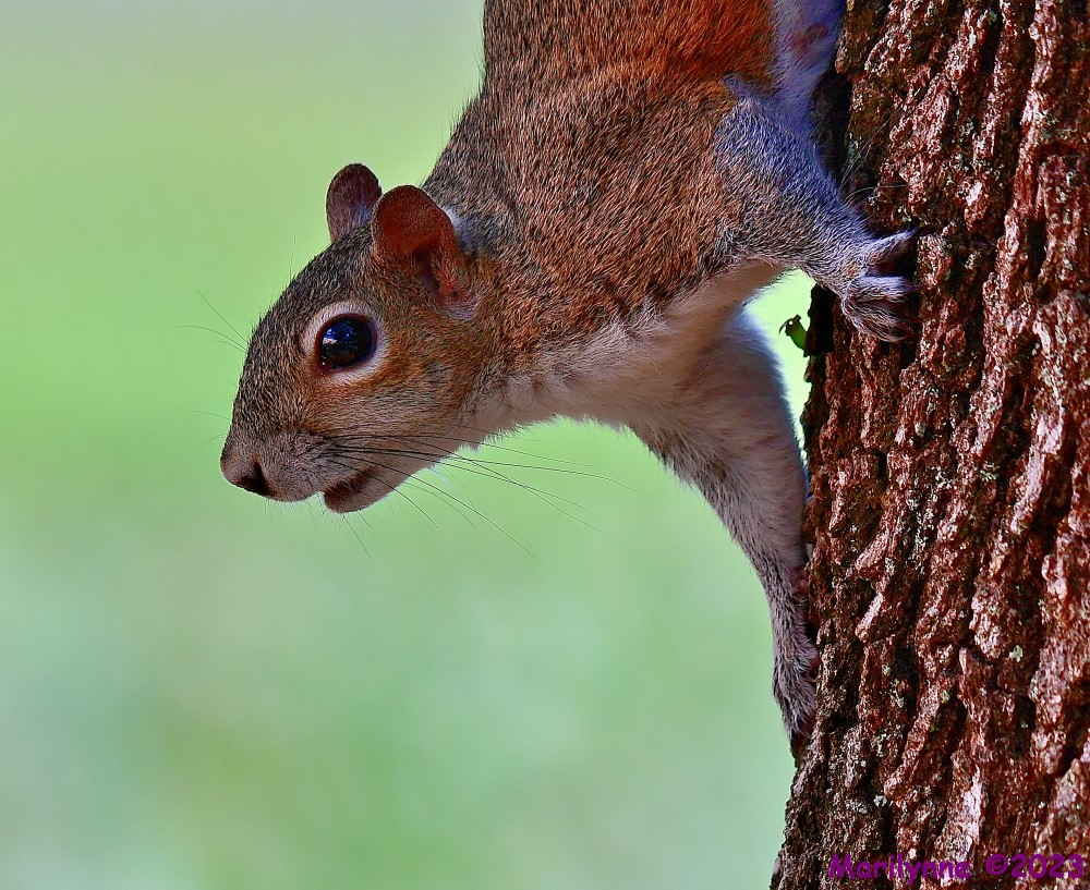 DSC_2543_001.JPG