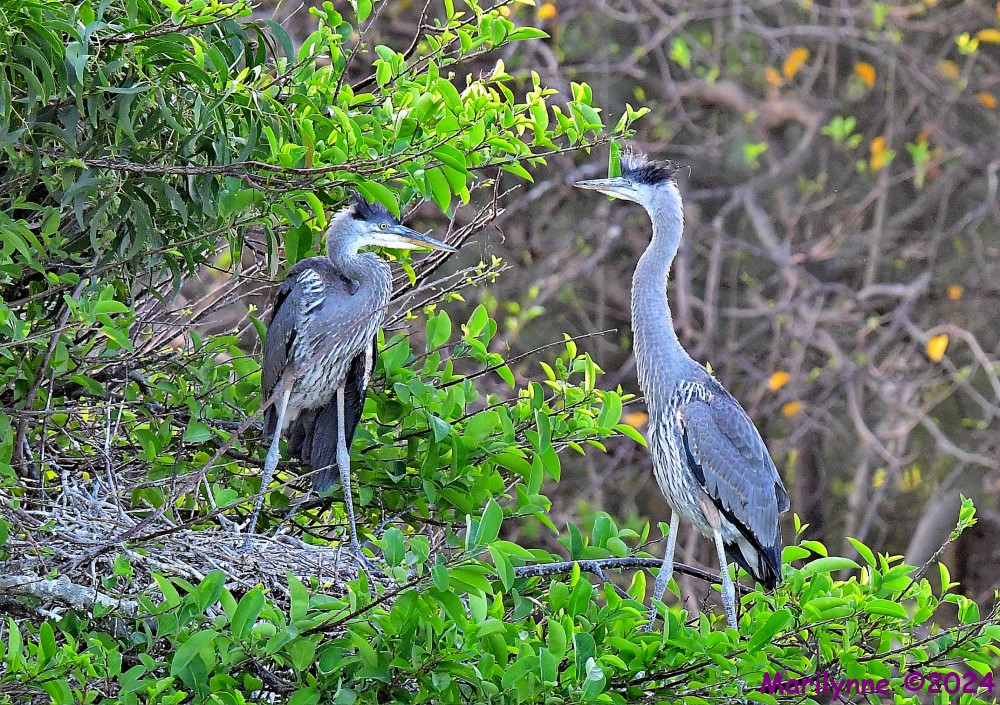 DSC_2543_001.JPG