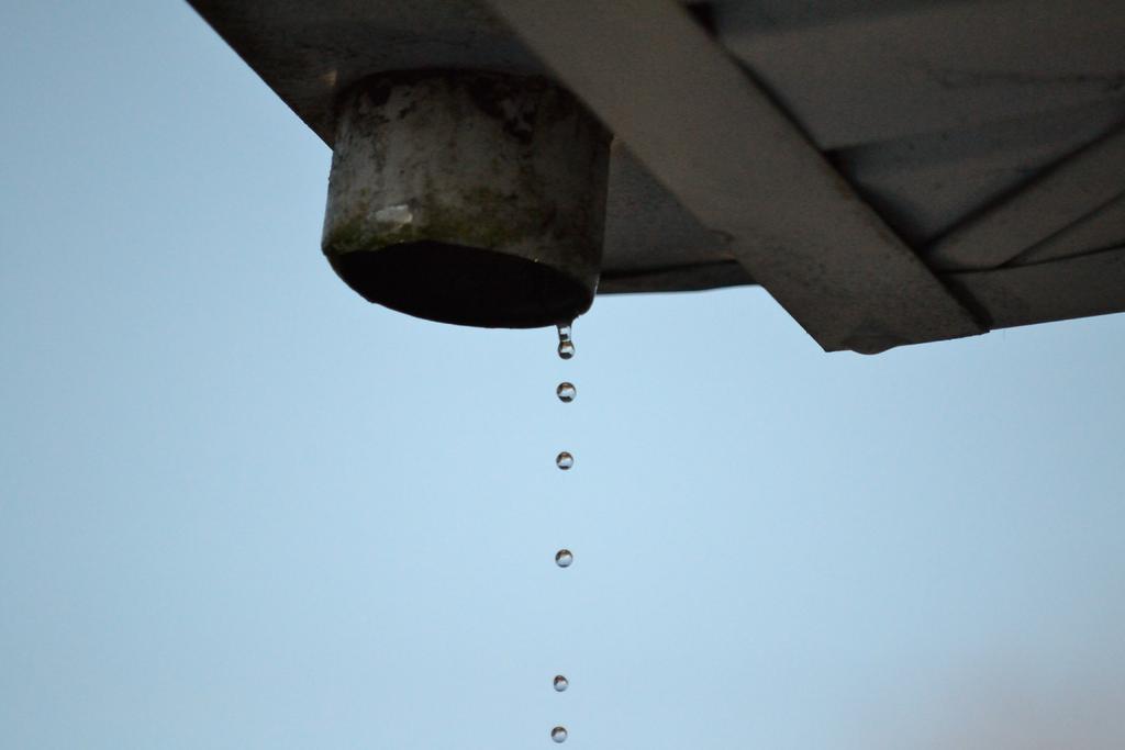 DSC_2544.jpg