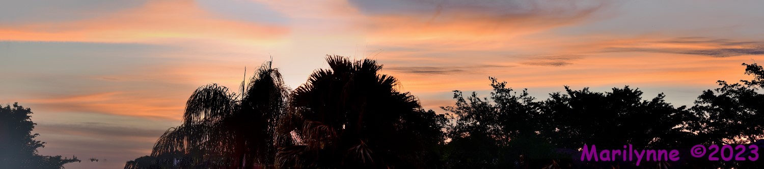 DSC_2546_stitch8_001.JPG