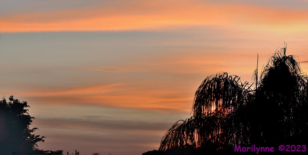 DSC_2546_stitch_001.JPG