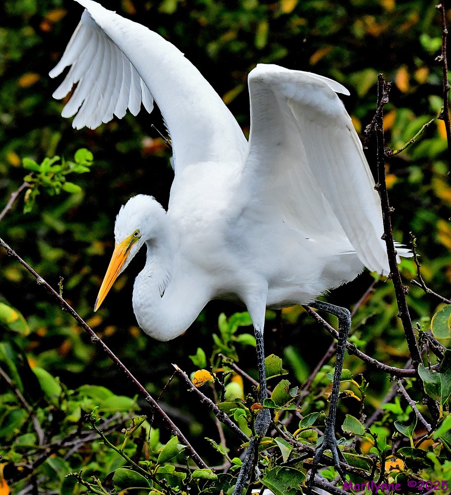 DSC_2547_001.JPG
