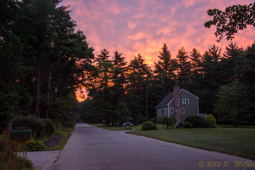 DSC_2548.jpg