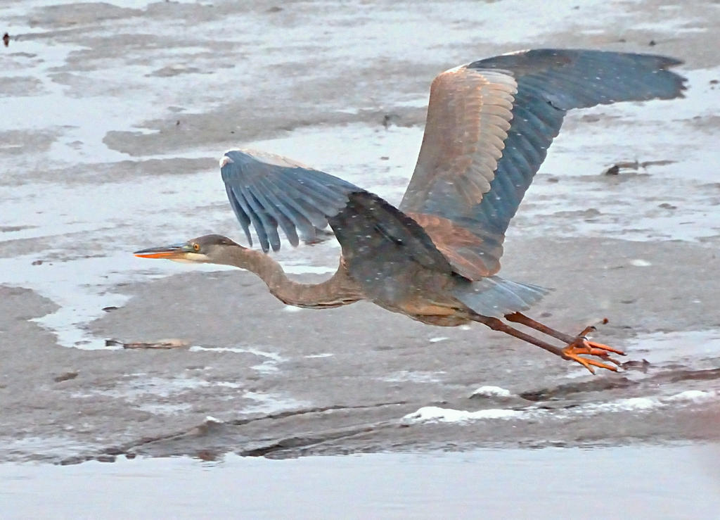 DSC_2548.jpg
