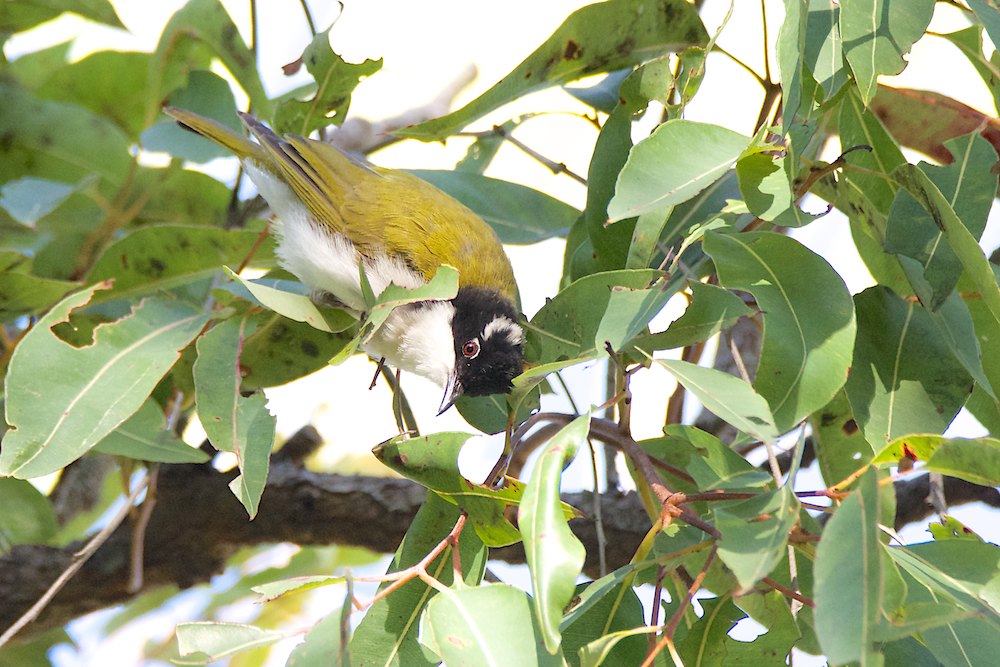 DSC_2550.jpg