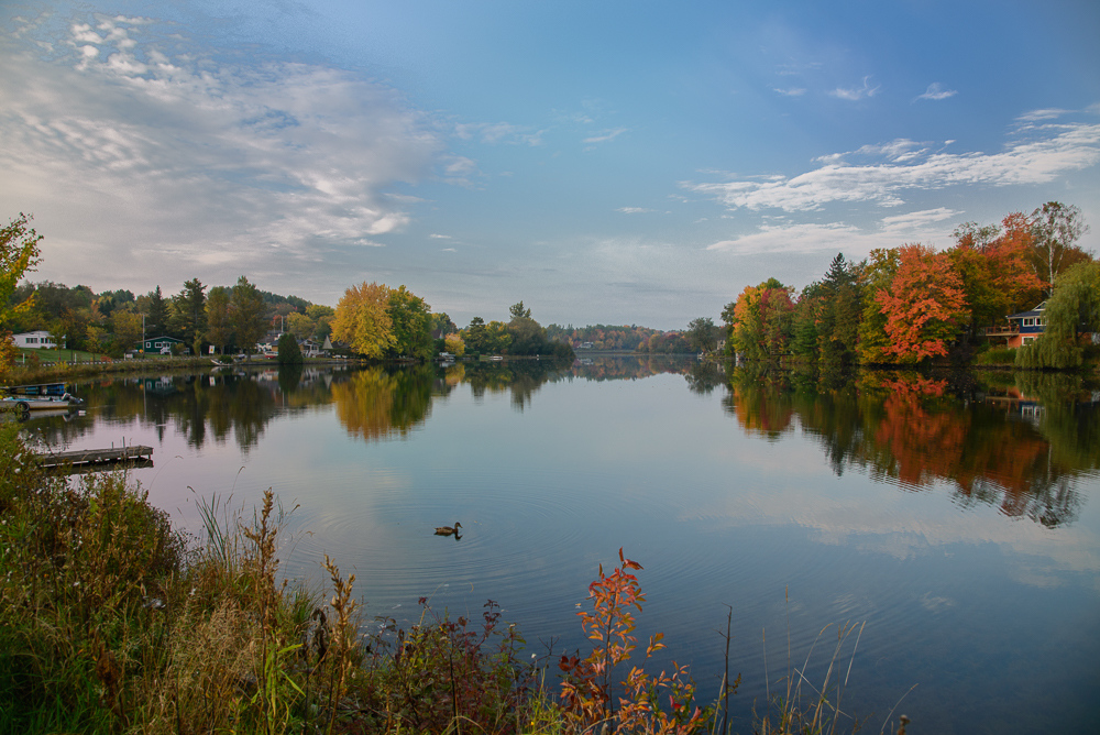 DSC_2552-Modifier.jpg