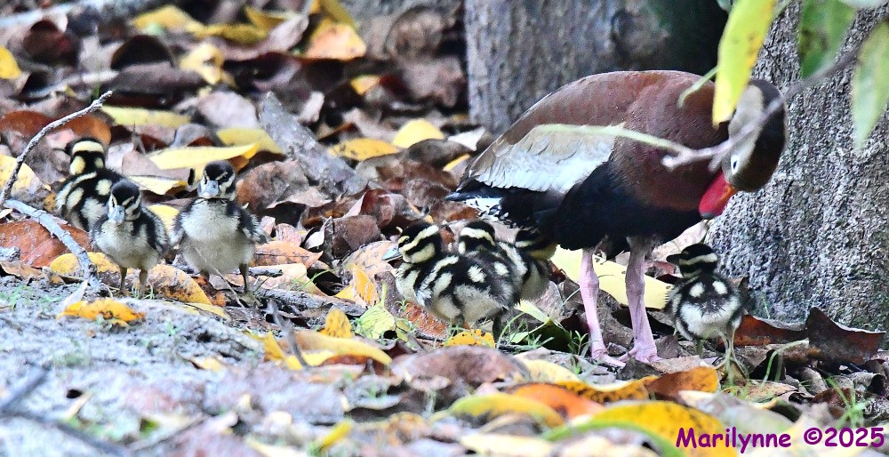 DSC_2554_001.JPG