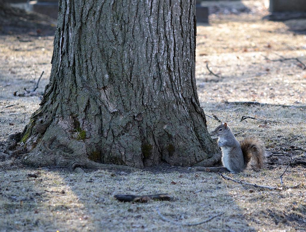 DSC_2556.jpg