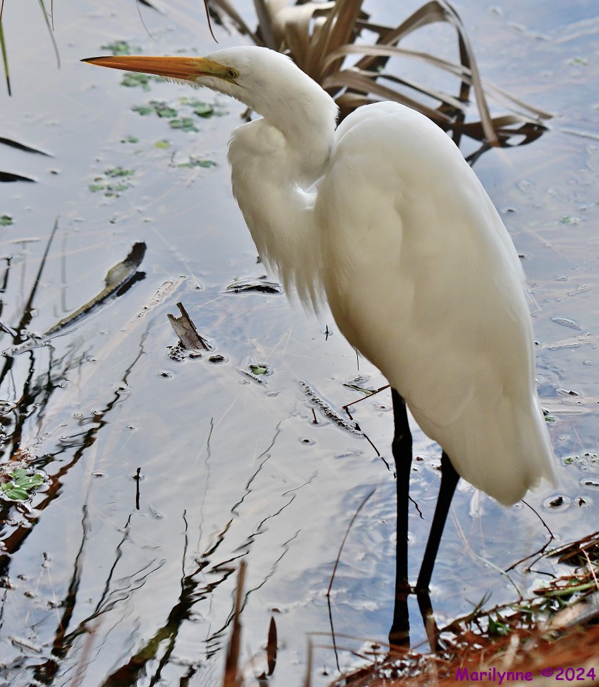 DSC_2556_stitch_001.JPG