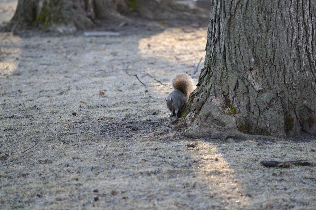 DSC_2558.jpg
