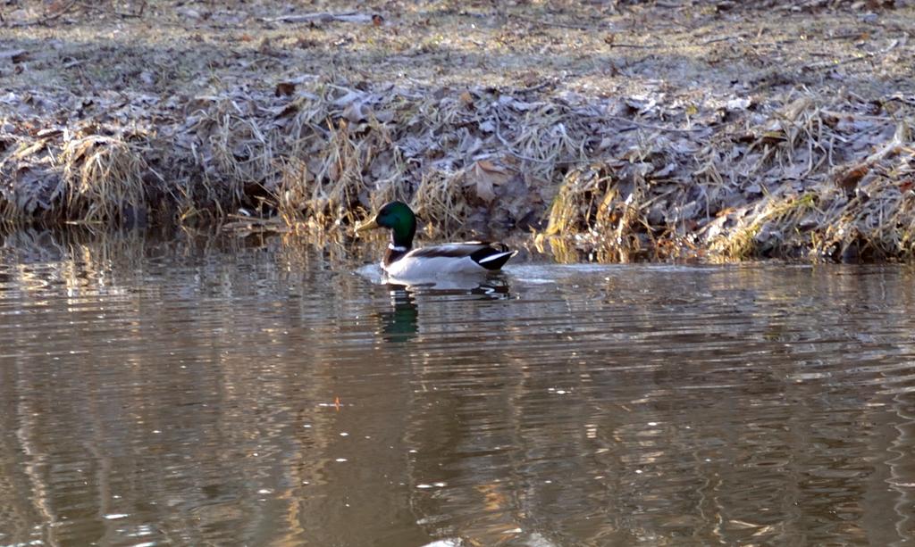 DSC_2565.jpg