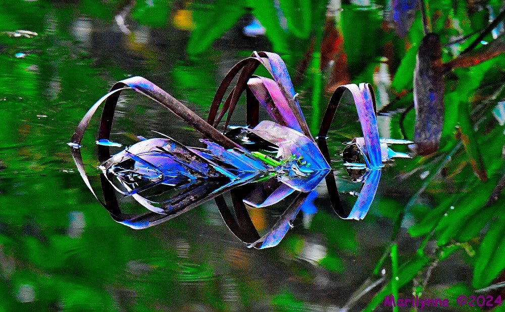 DSC_2568_001.JPG