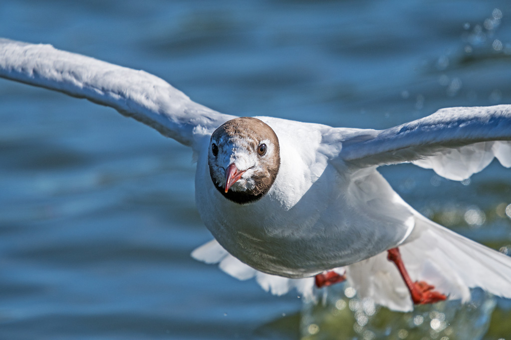 DSC_2569.jpg