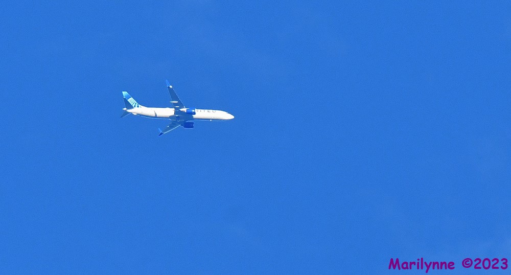 DSC_2569_001.JPG