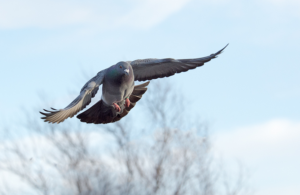 DSC_2570.jpg