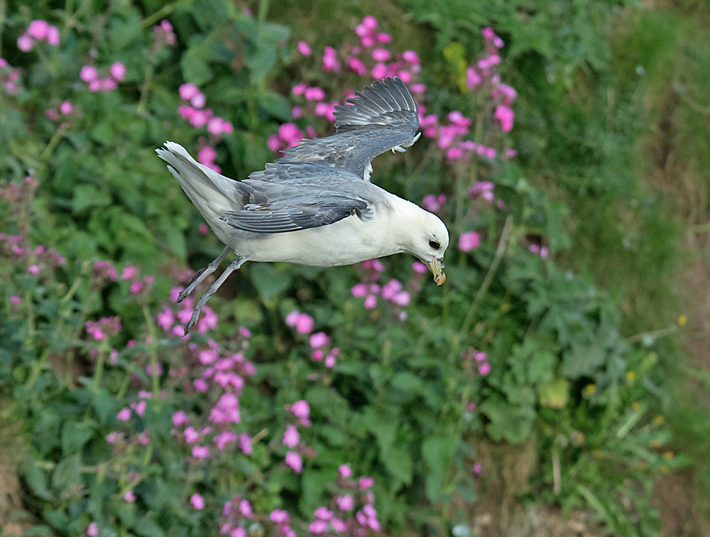 DSC_2570.jpg