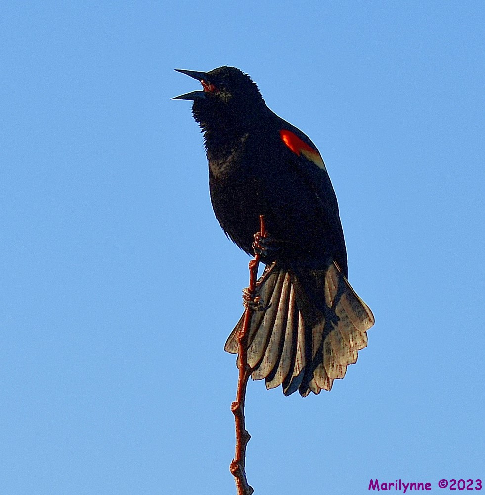 DSC_2570_001.JPG