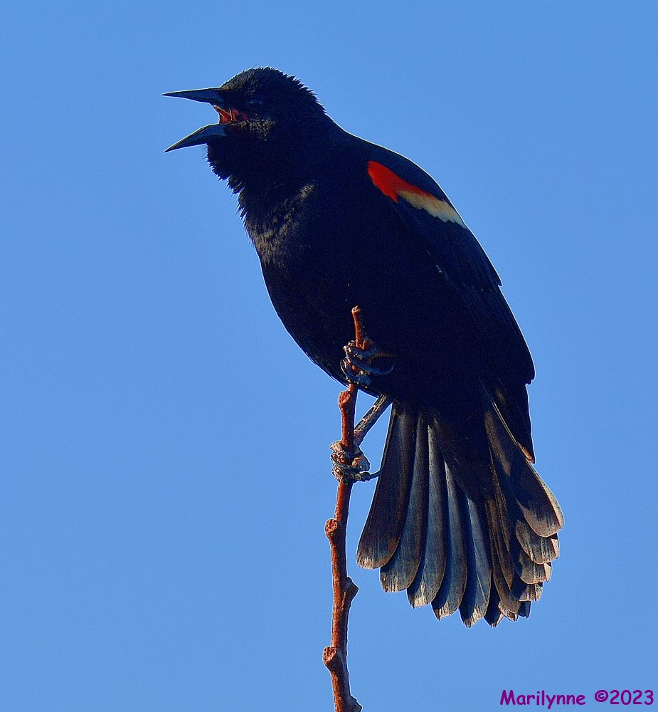 DSC_2572_001.JPG
