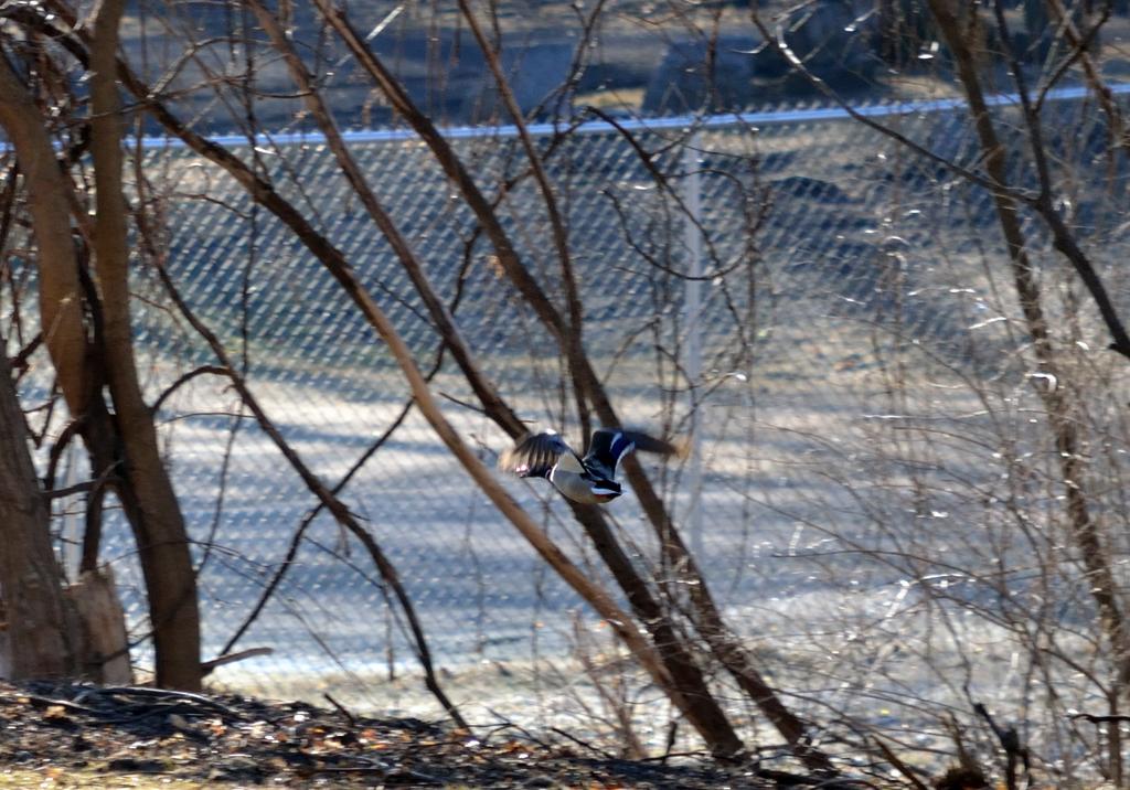 DSC_2575.jpg