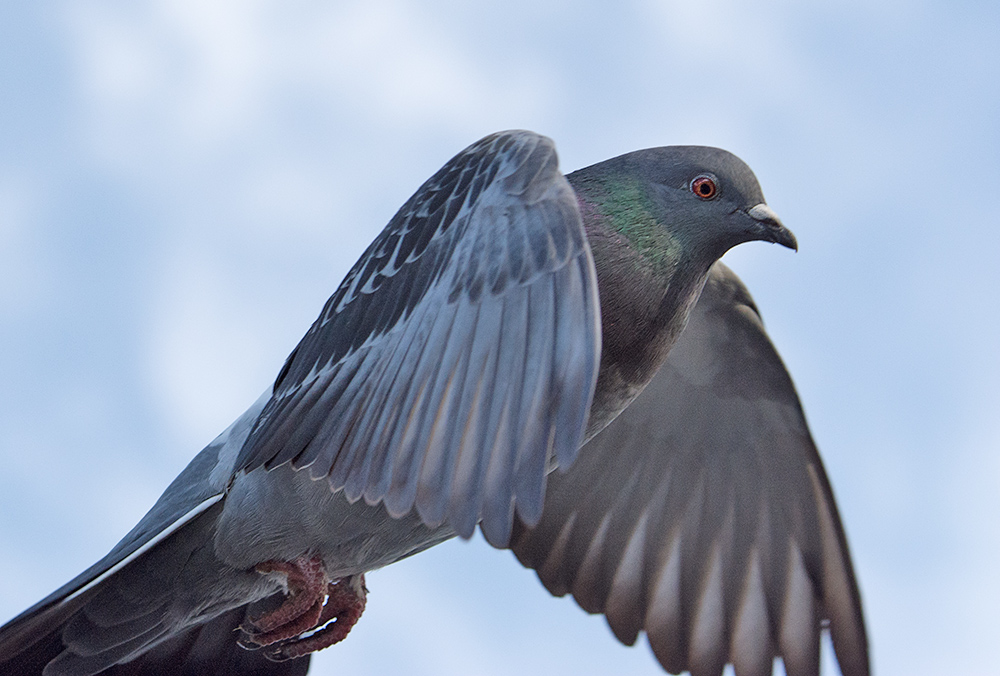 DSC_2577.jpg