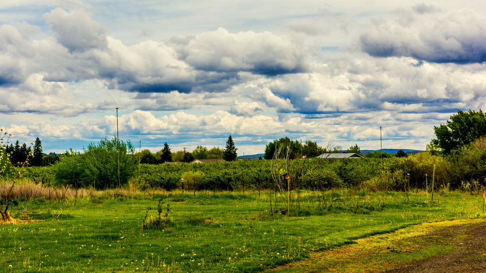 DSC_2577.jpg