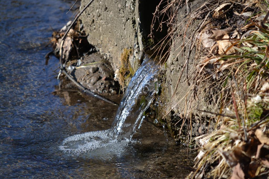 DSC_2579.jpg