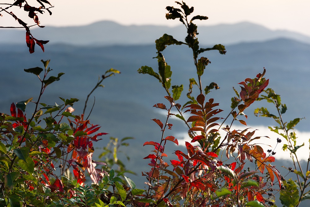 DSC_2580-Edit.jpg