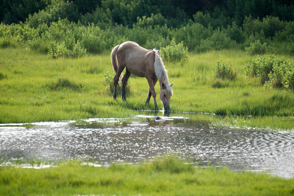DSC_2580.jpg