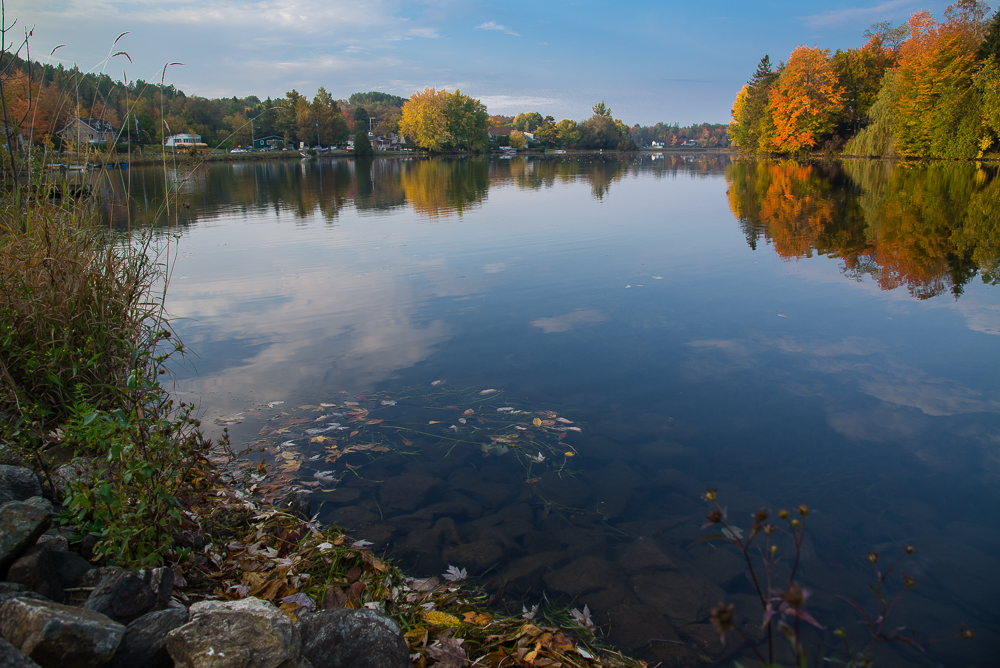 DSC_2582.jpg
