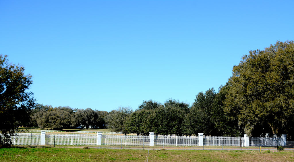 DSC_2582.jpg